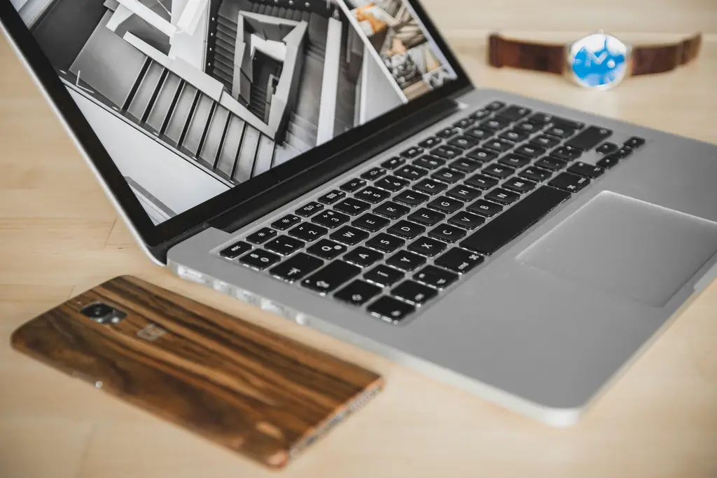 向量圖庫：你的設計素材寶庫