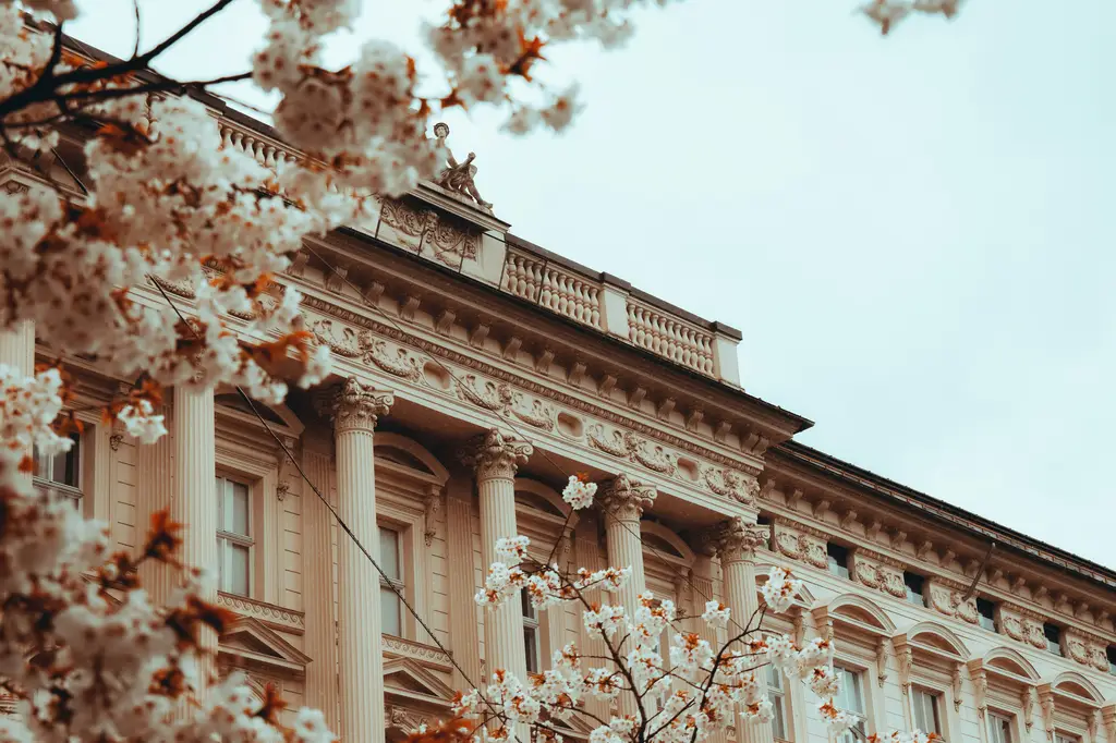 免費PS素材寶庫：讓你的設計在專業與省錢之間完美平衡